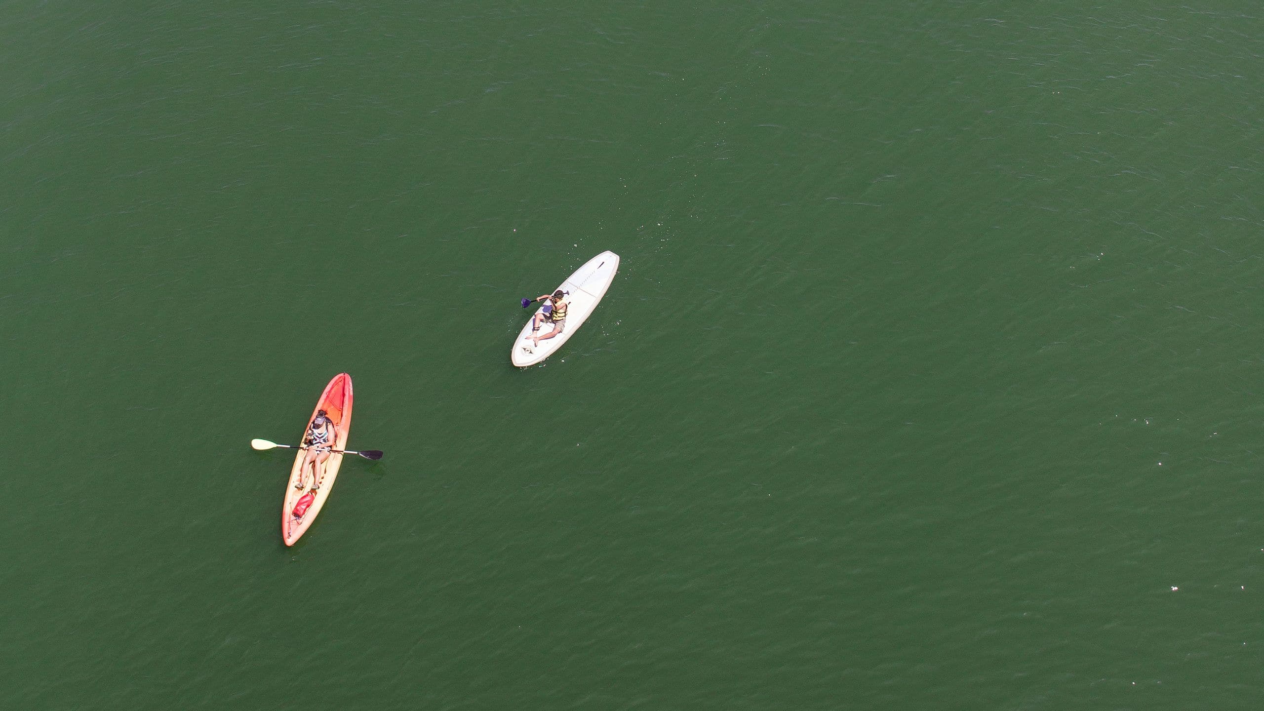 Hyatt Centric Arlington Kayaking