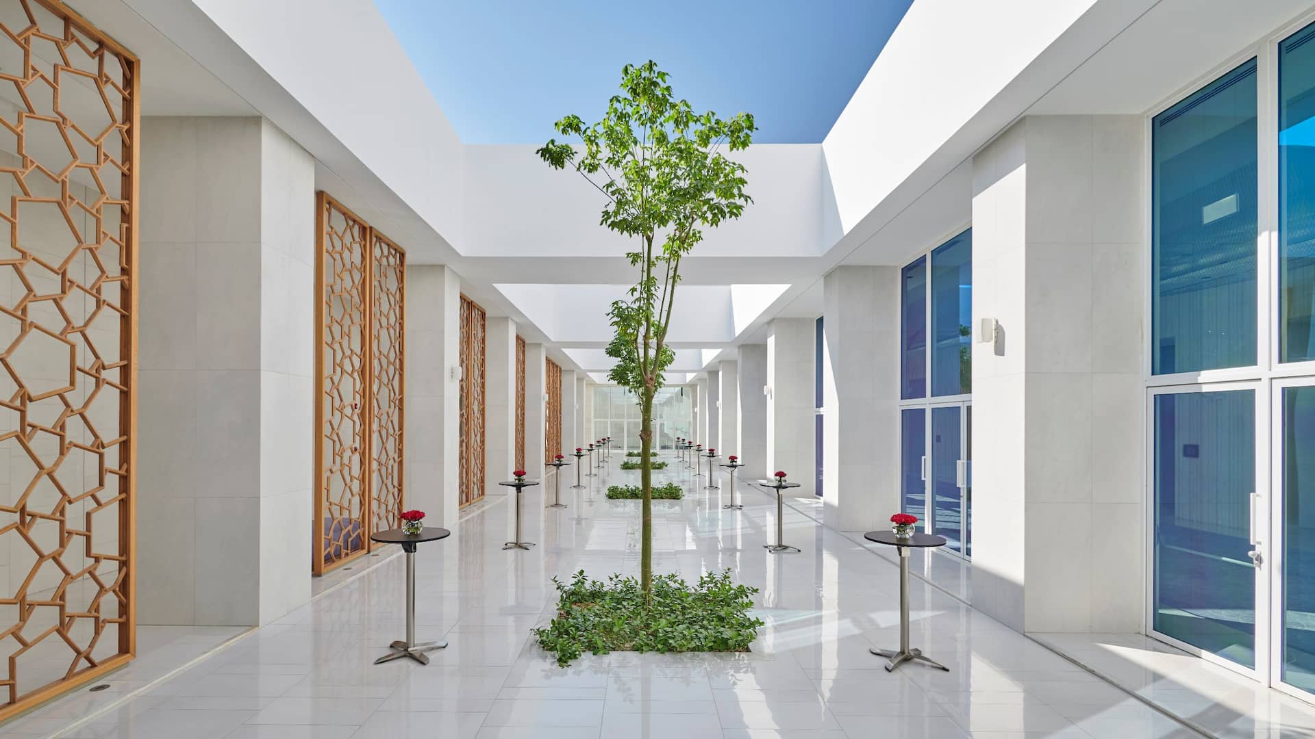 Hyatt Regency Aqaba Ayla Tree Function Area