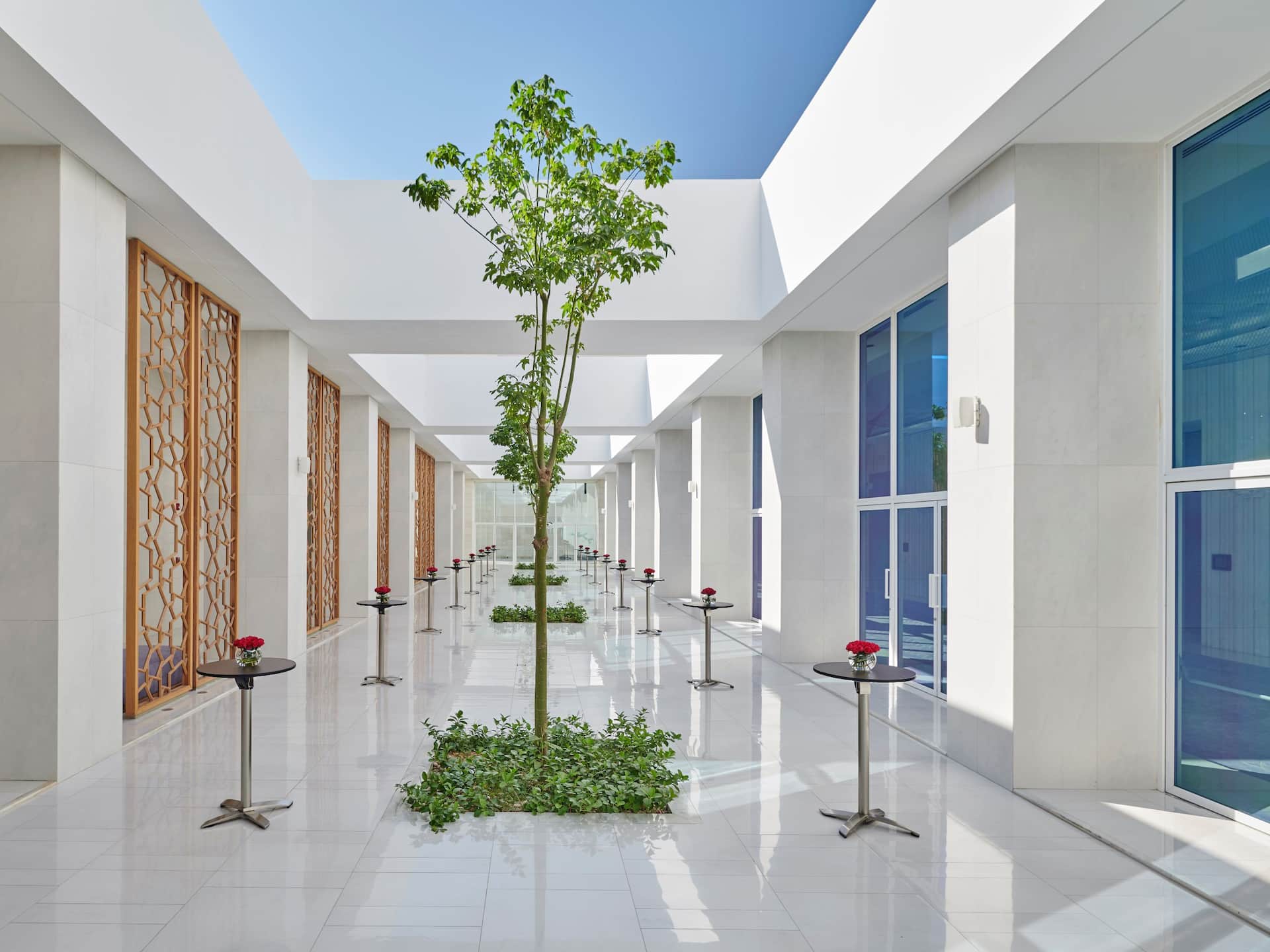 Hyatt Regency Aqaba Ayla Tree Function Area