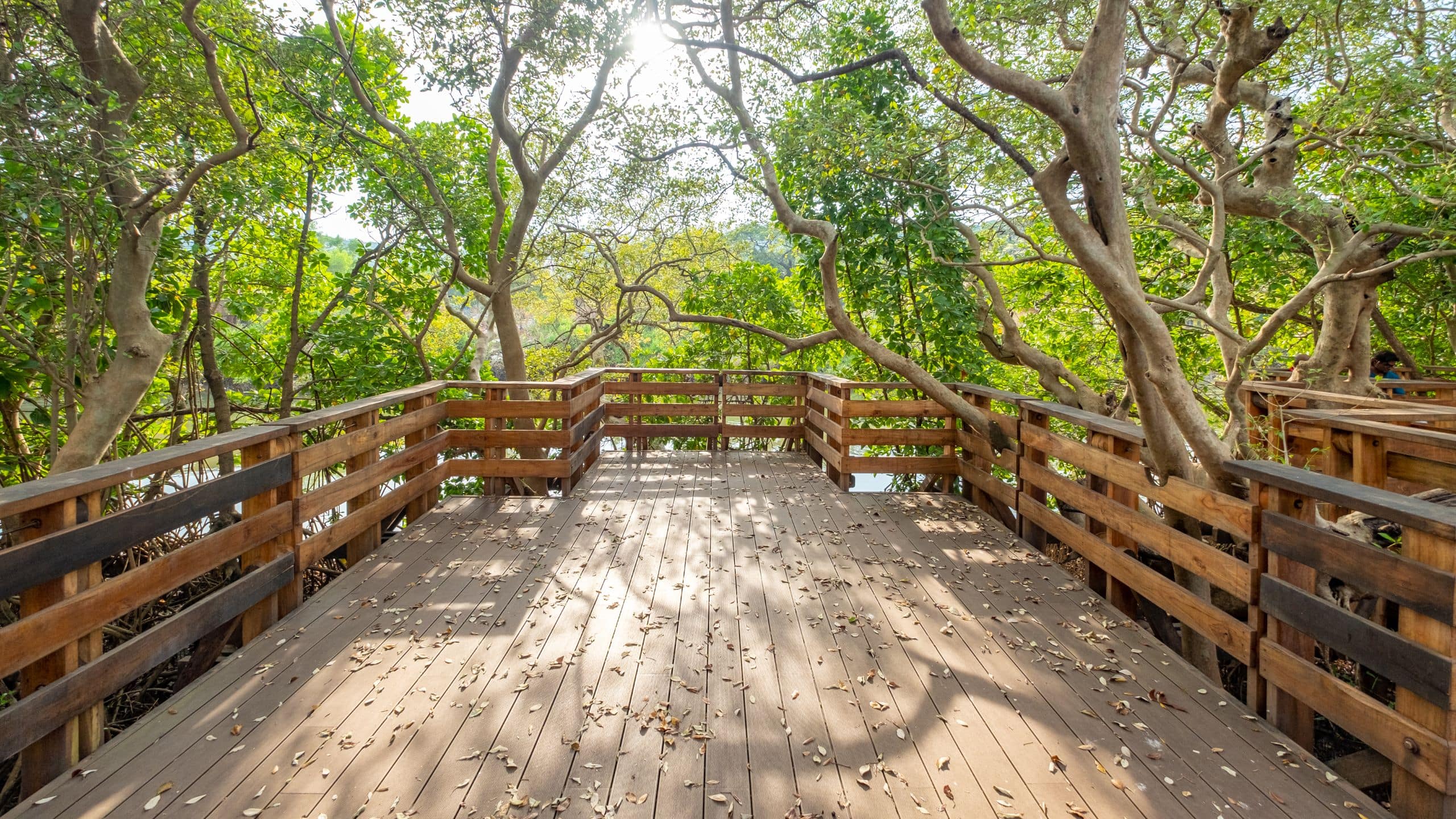 Hyatt Centric Candolim Goa Mandovi Boardwalk