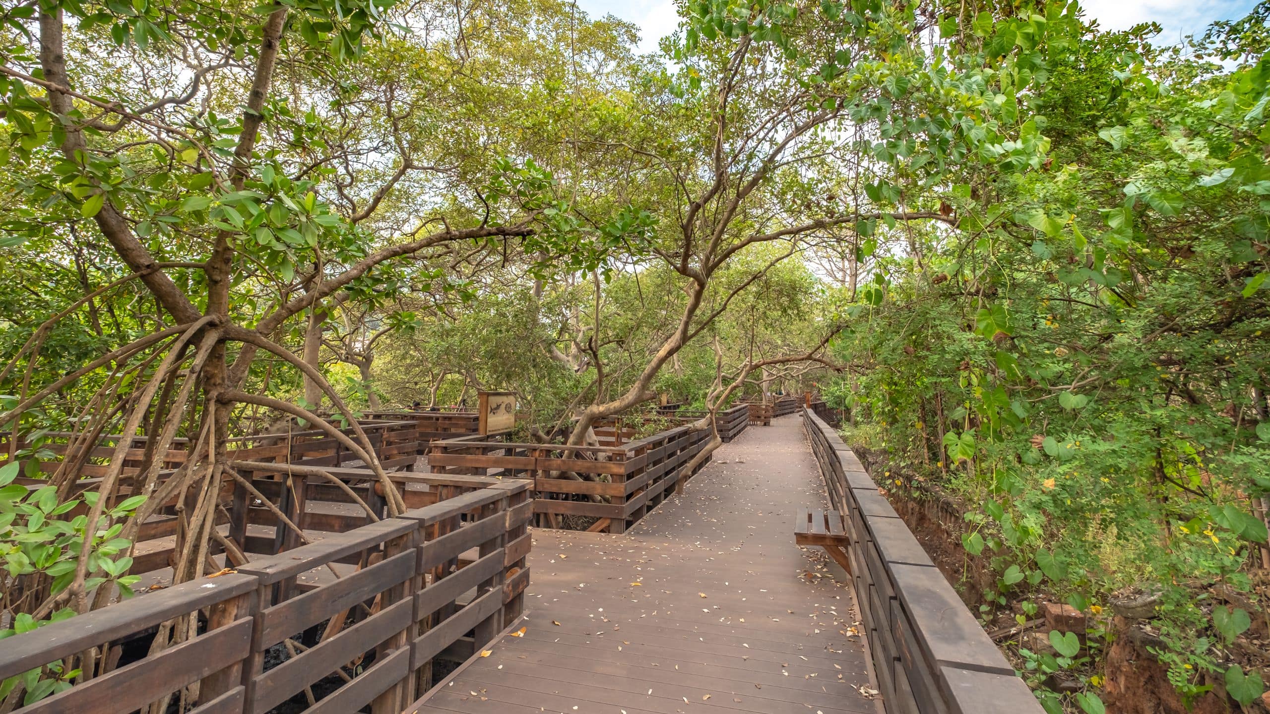 Hyatt Centric Candolim Goa Mandovi Boardwalk