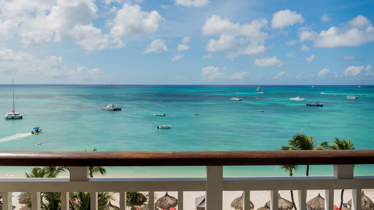 Ocean Front View