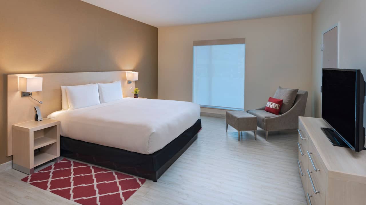 King Bed Suite