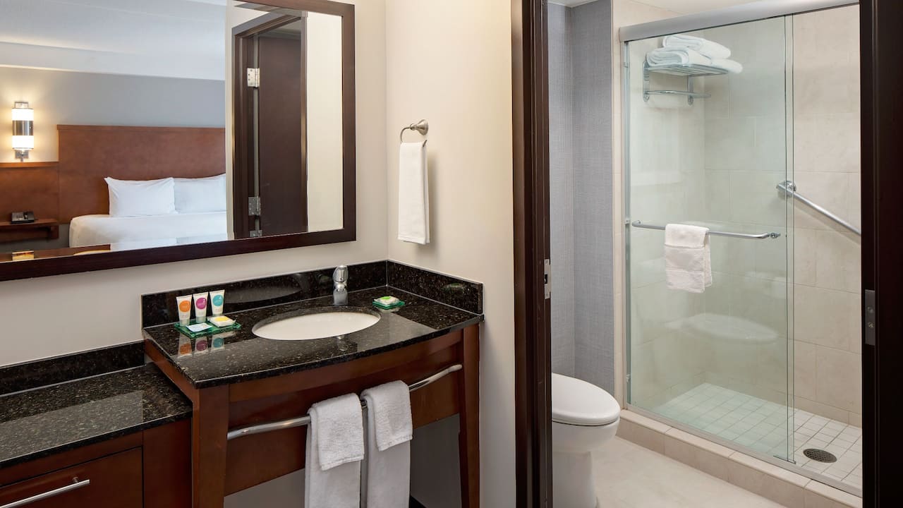 King Room Bathroom