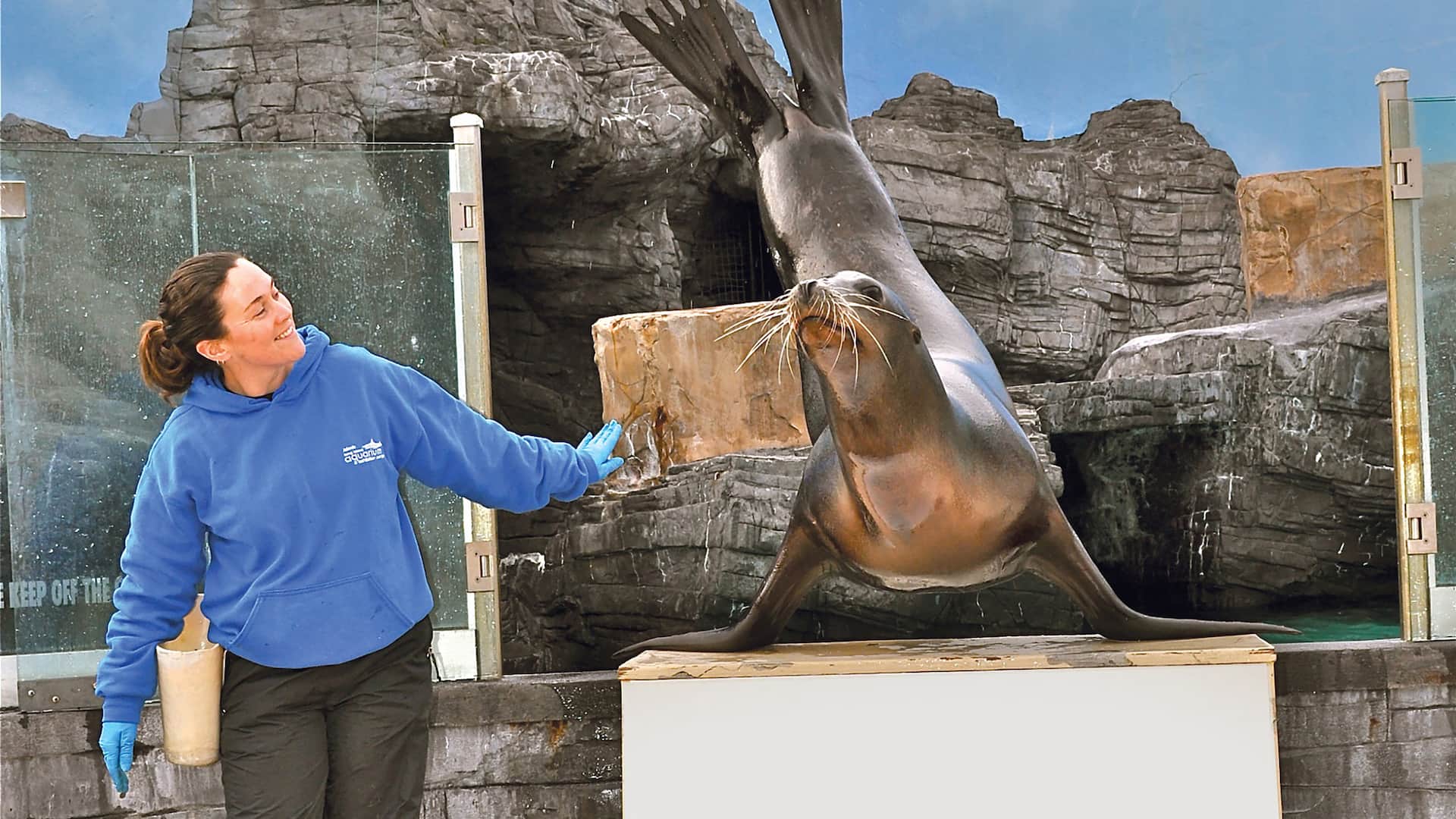 Hyatt Place Long Island/East End Long Island Aquarium Sea Lion Show