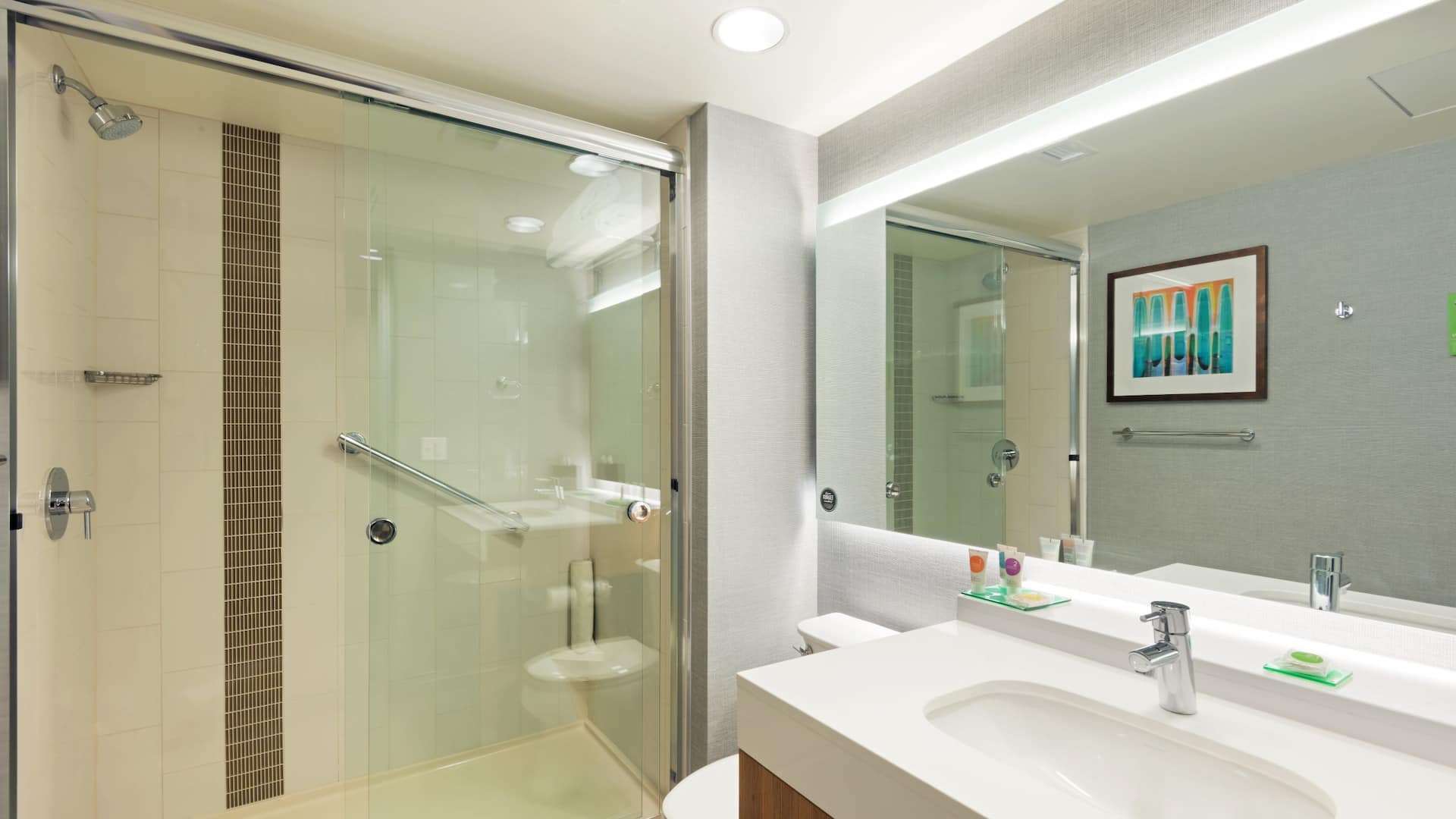 3 из 3 Hyatt Place Denver/Downtown Standard Suite Bathroom