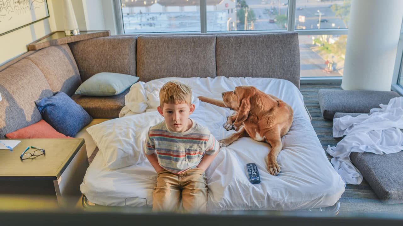 Child and Dog on Pull Out Bed