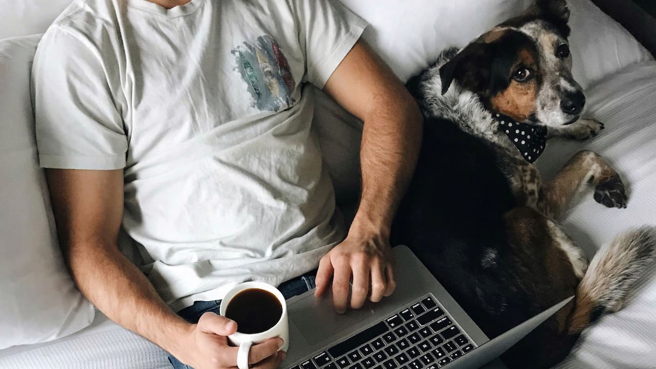 Work in Bed with Dog