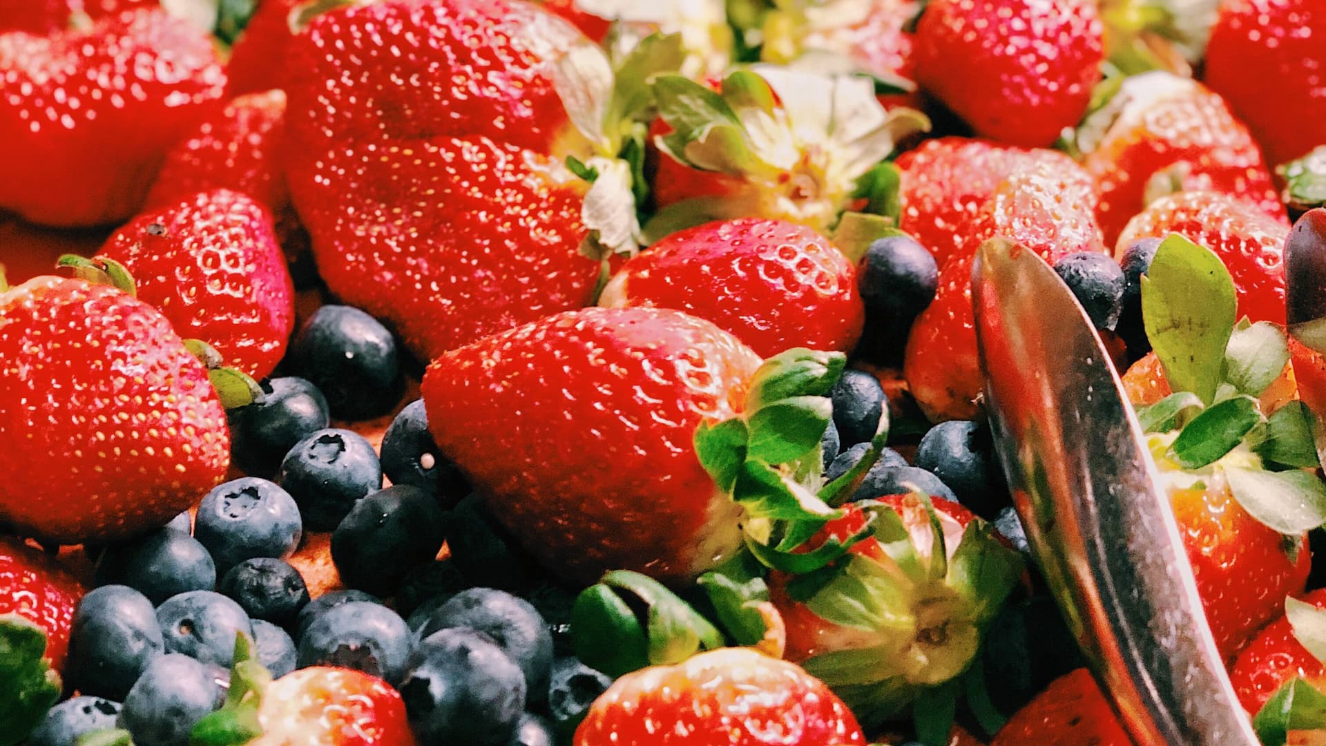 Hyatt Place Breakfast Buffet Berries