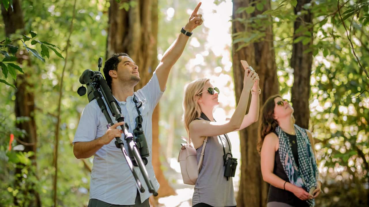 Explorers Club Guided Bird Watching