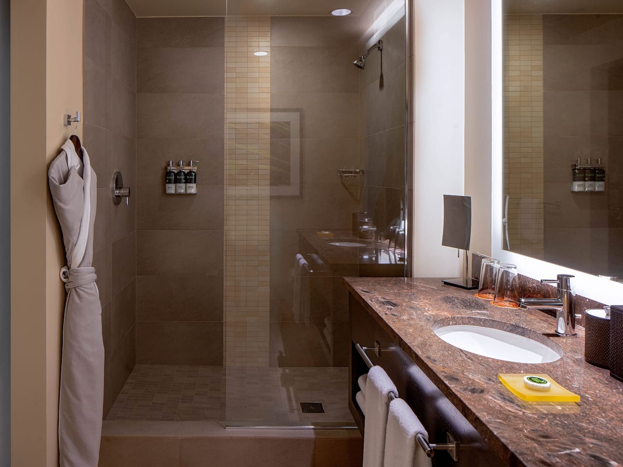 Downtown Seattle Boutique Hotels Hyatt at Olive 8