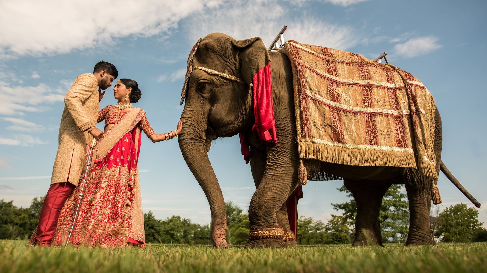 Hyatt Regency Chesapeake Bay Golf Resort, Spa and Marina Wedding Embrace Elephant