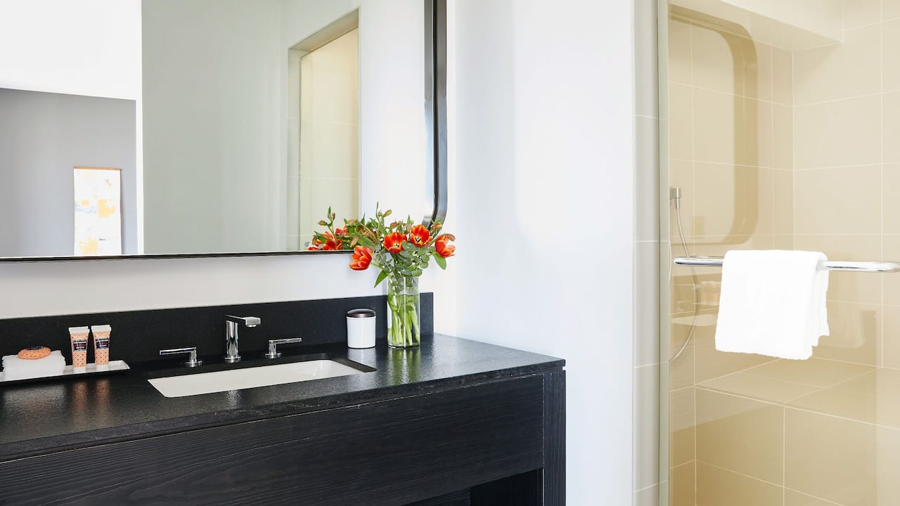 Guest bathroom walk-in shower and spacious vanity