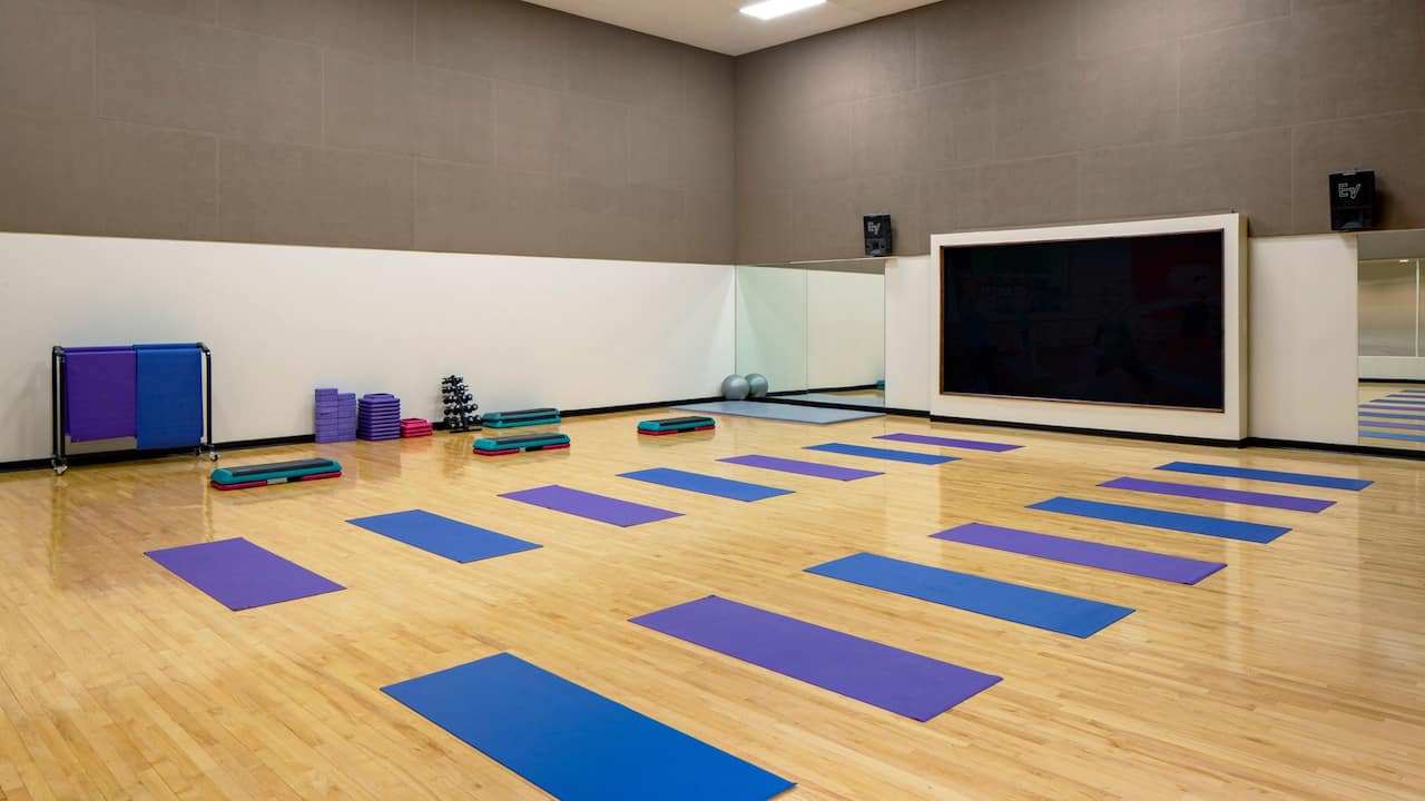Fitness OnDemand Yoga Hyatt Regency Minneapolis