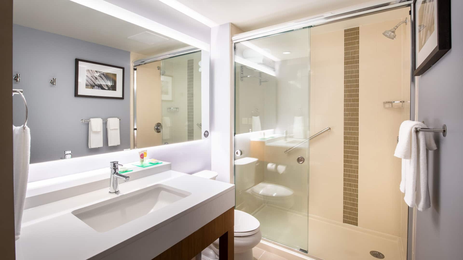 2 of 3 Hyatt Place East Moline / Quad Cities Guestroom Bathroom