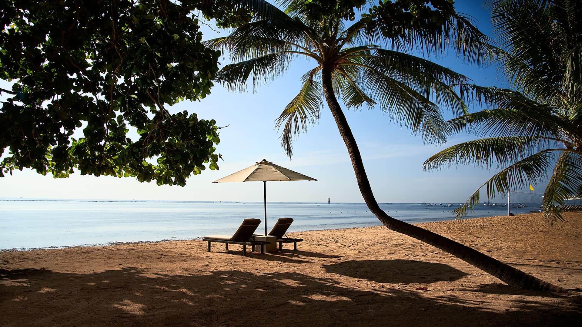 Hyatt Regency Bali Beach Palm Trees