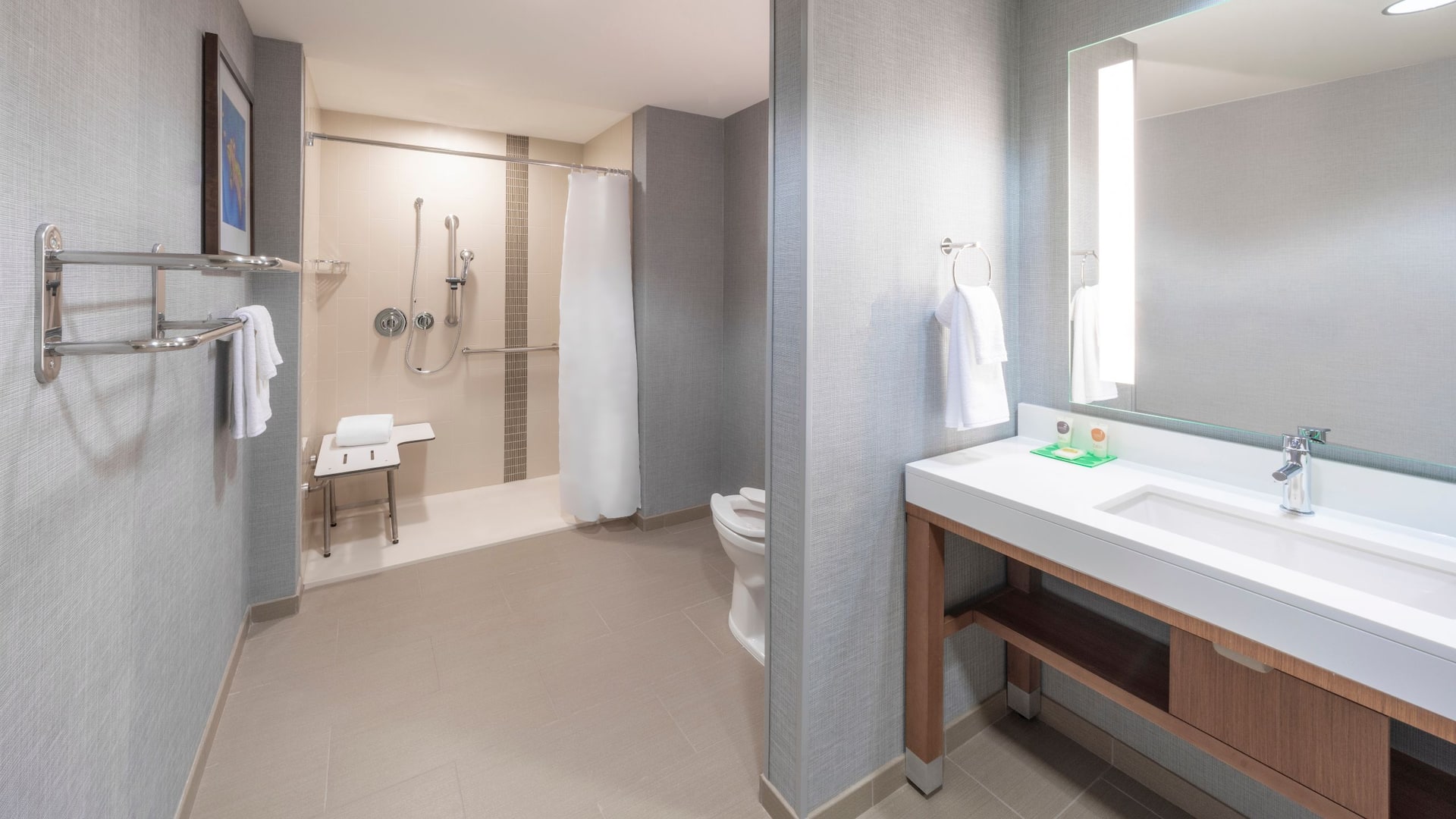 第 2，共 3 Hyatt Place Sandestin/at Grand Boulevard Accessible Shower