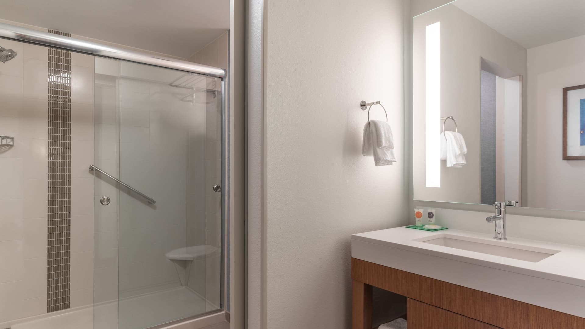 第 3，共 4 Hyatt Place Sandestin/at Grand Boulevard Specialty King Bathroom
