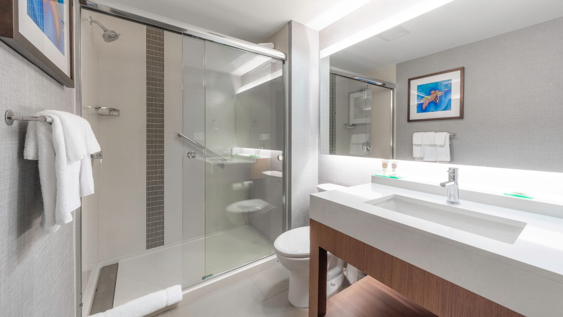 第 4，共 4 Hyatt Place Sandestin/at Grand Boulevard Guestroom Bathroom