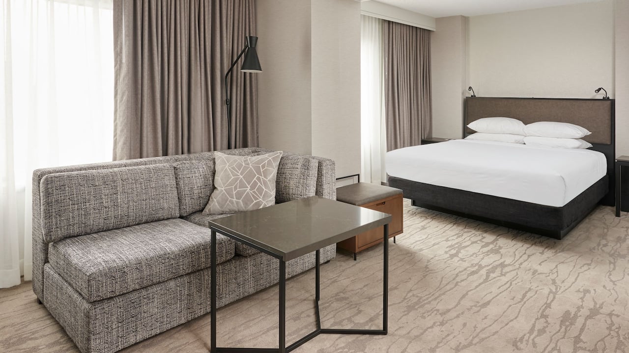Standard King Guestroom