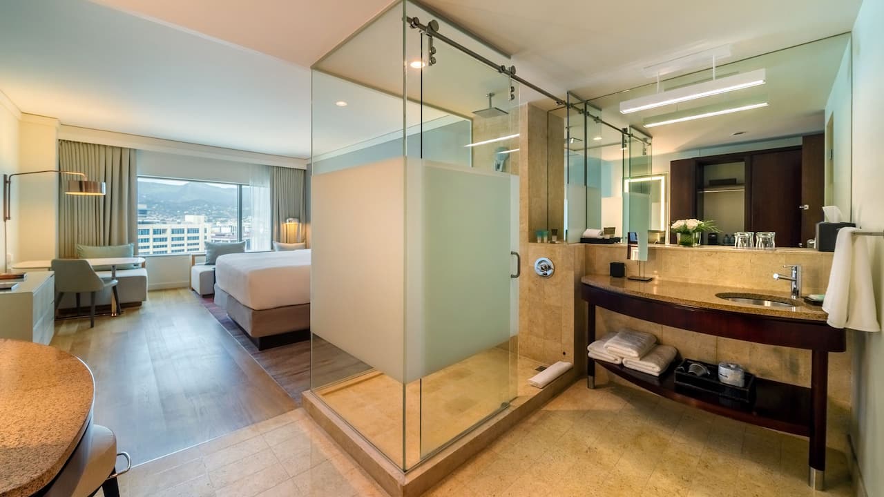 Exposed shower in the One King Bed guestroom with views of the city