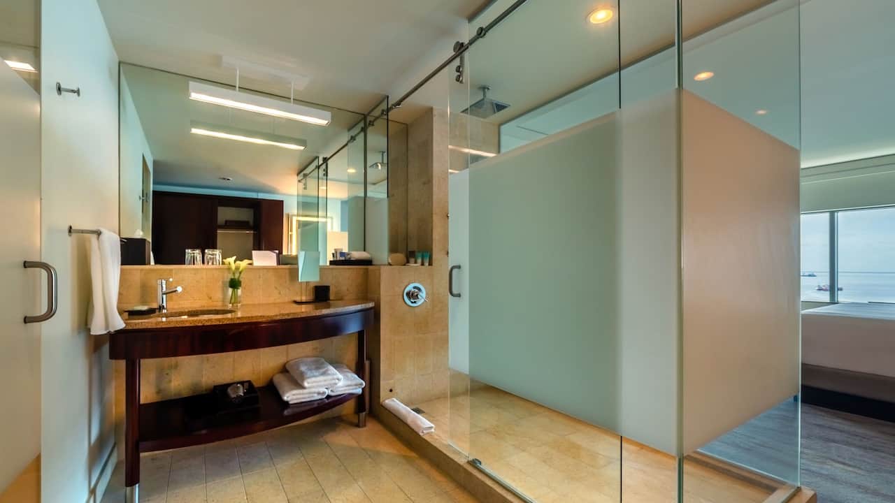 Room Shower