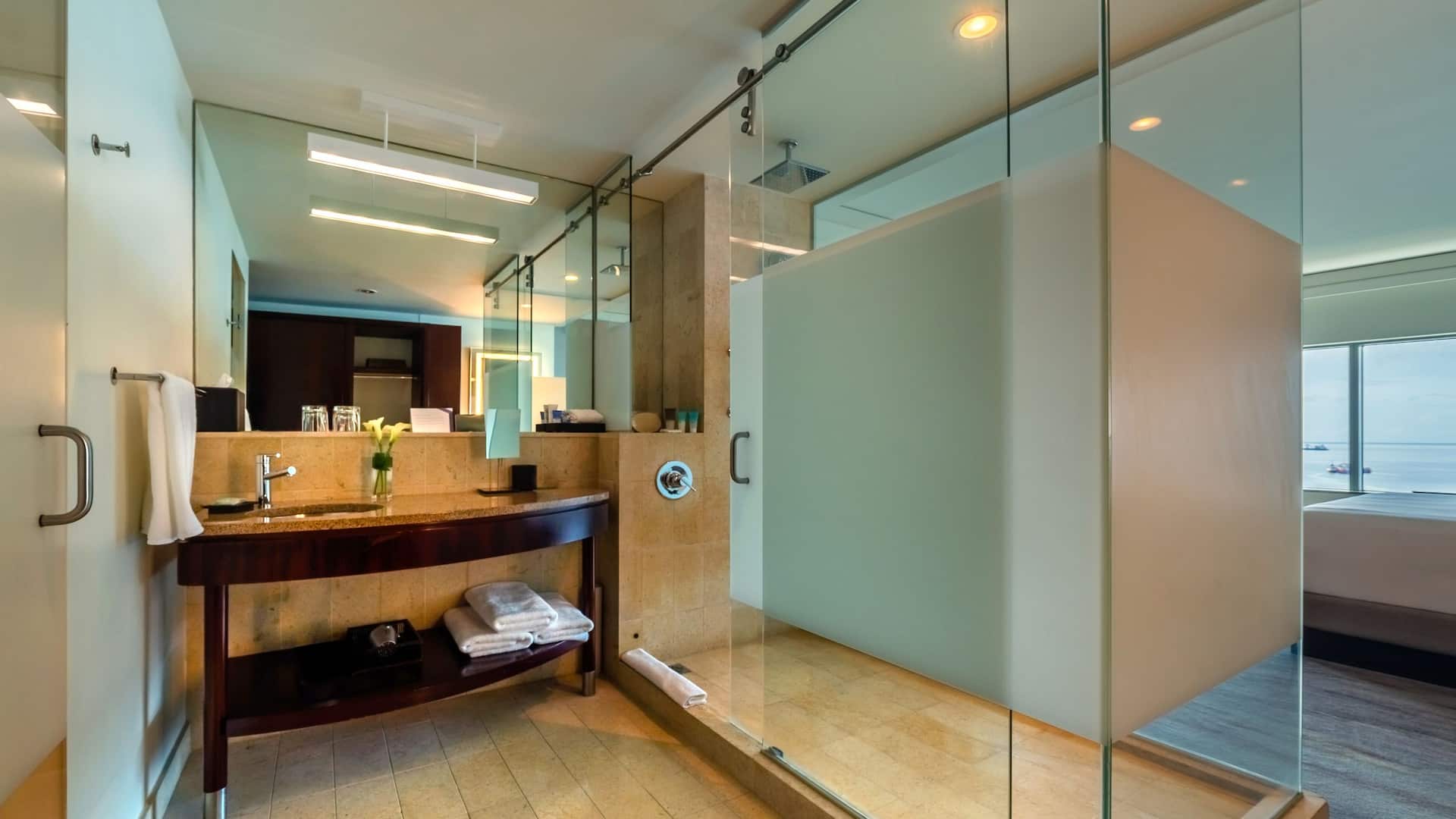 2/4 Hyatt Regency Trinidad Room Shower