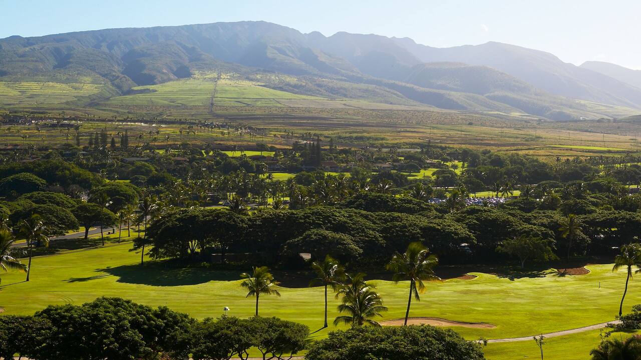Book a tee time at one of two Kaanapali golf courses.