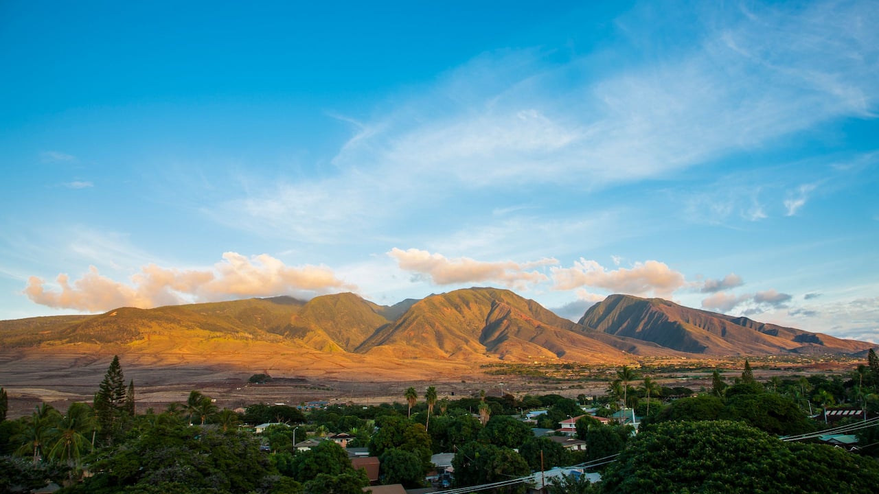 1 Bedroom Condo Mountain View Premier