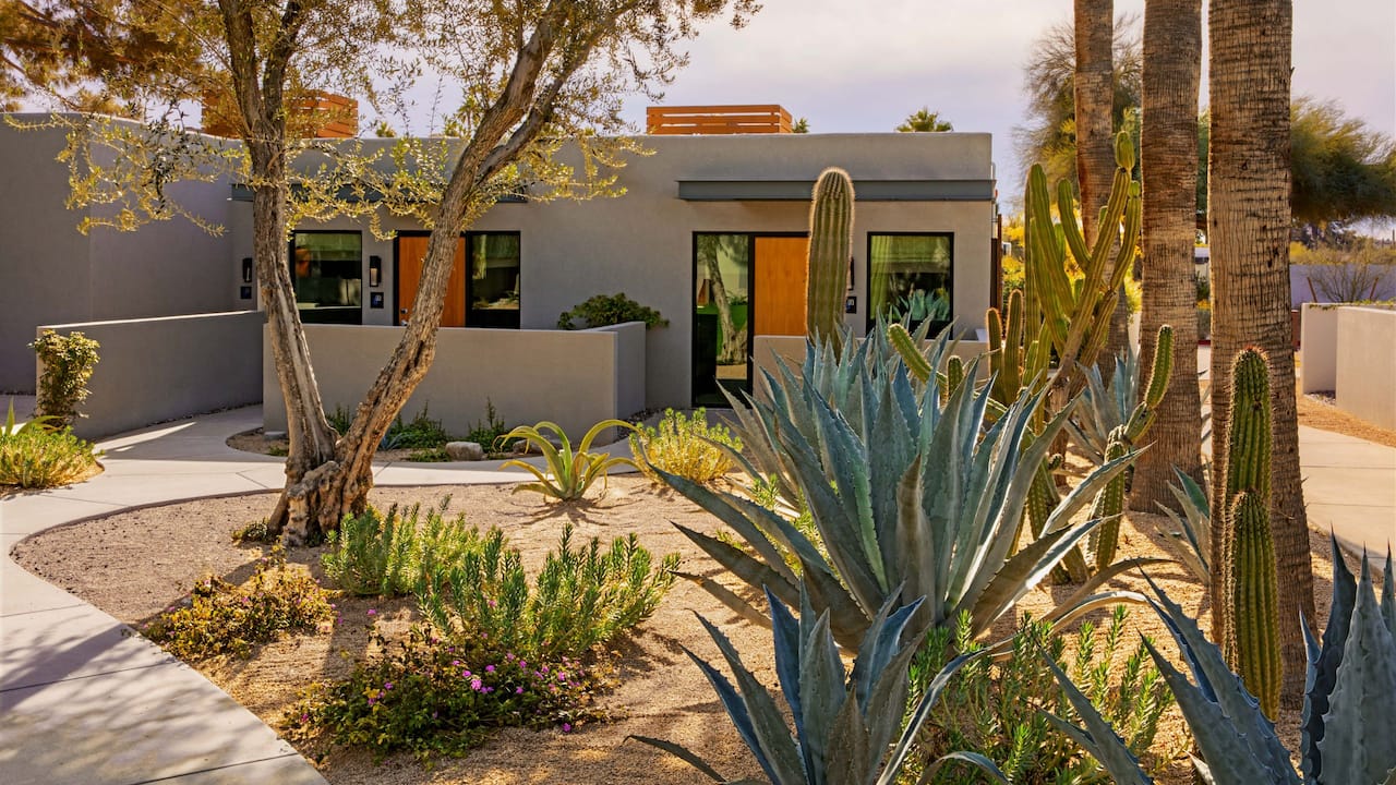 Cactus Garden