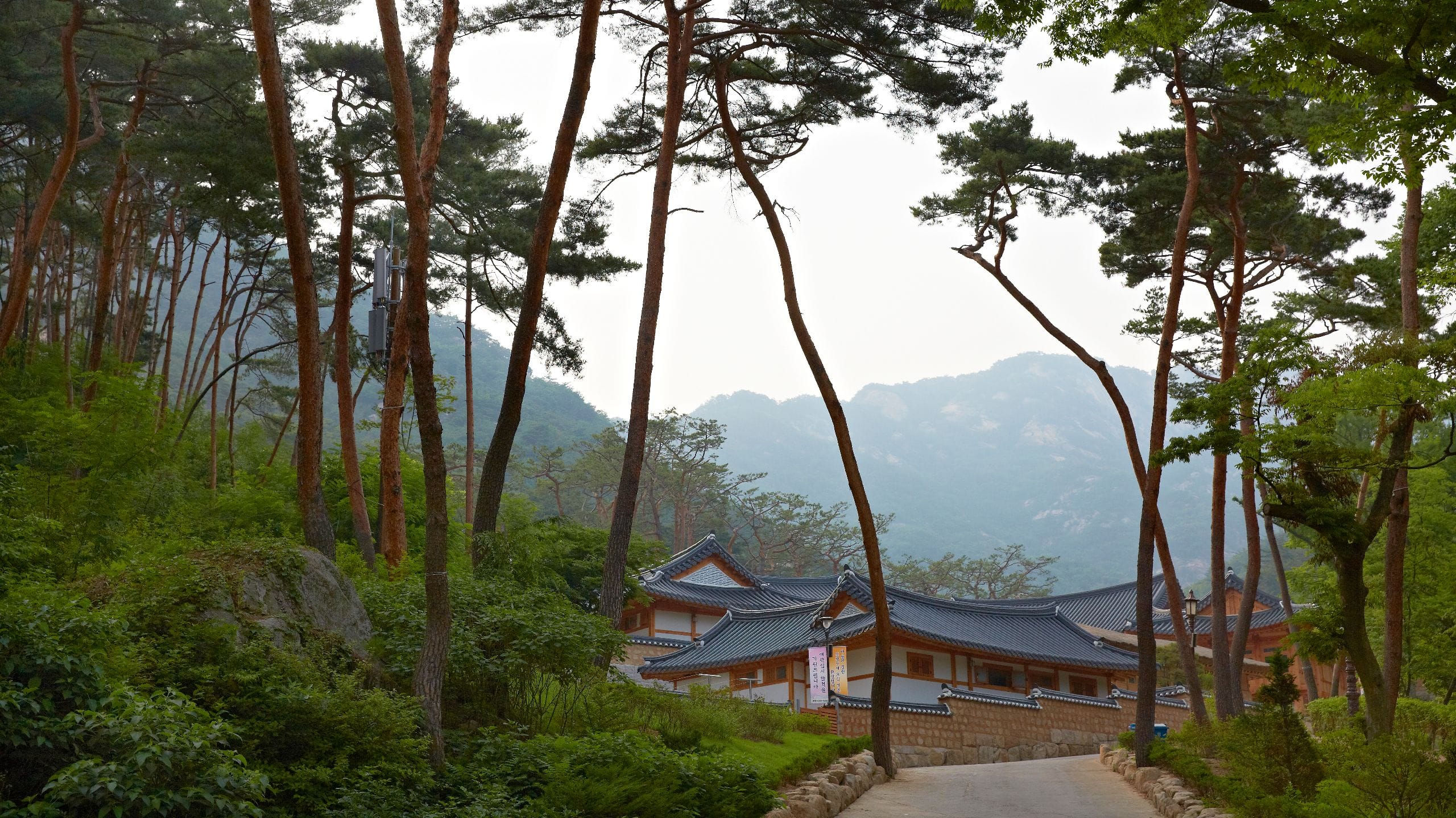 Park Hyatt Seoul Wellness Activity Jinkwansa Forest