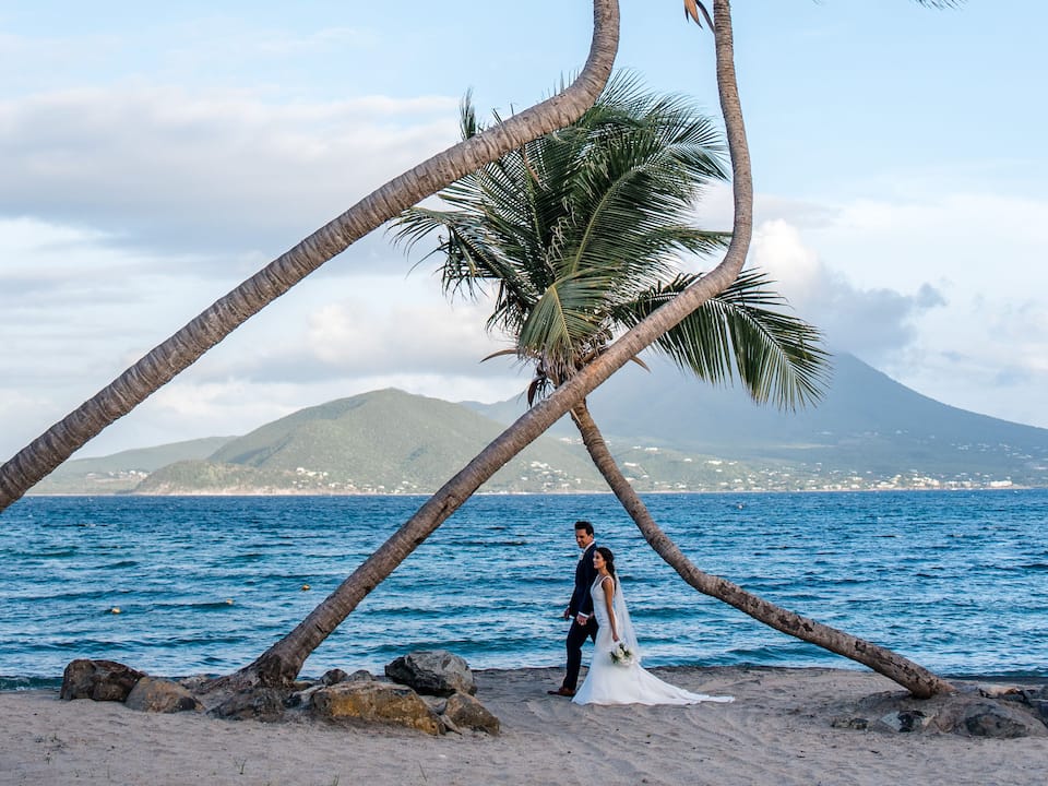 Wedding Couple Palm Trees
