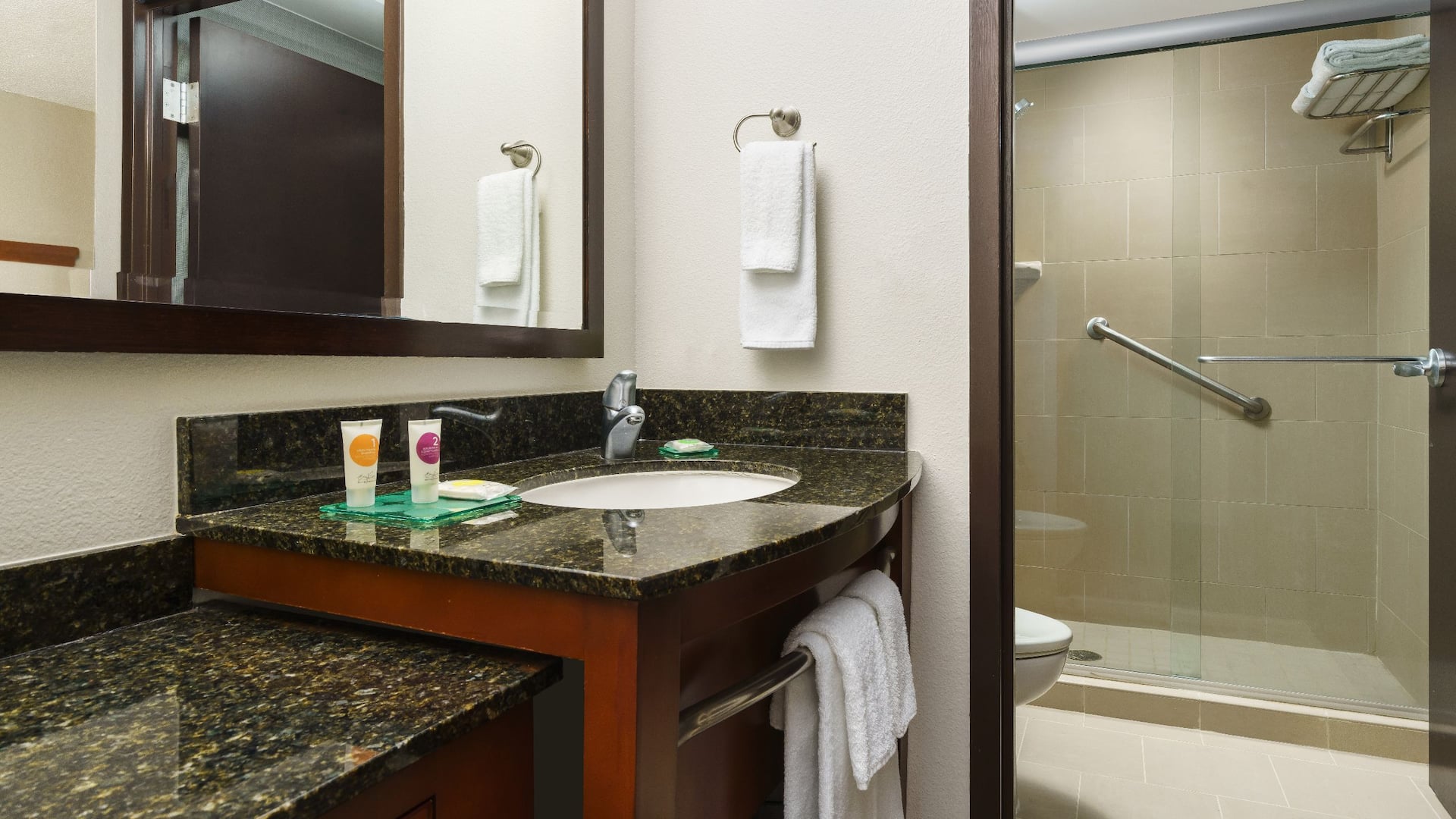 4 of 4 Hyatt Place Fort Lauderdale Airport - South & Cruise Port King Bathroom