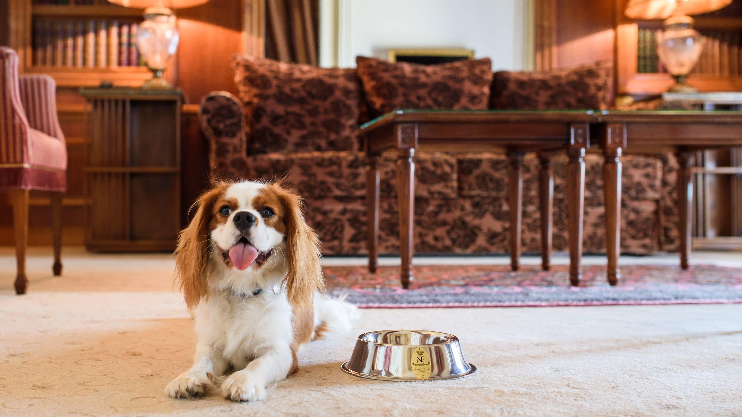 Hôtel du Palais Biarritz Pet Friendly Living Area