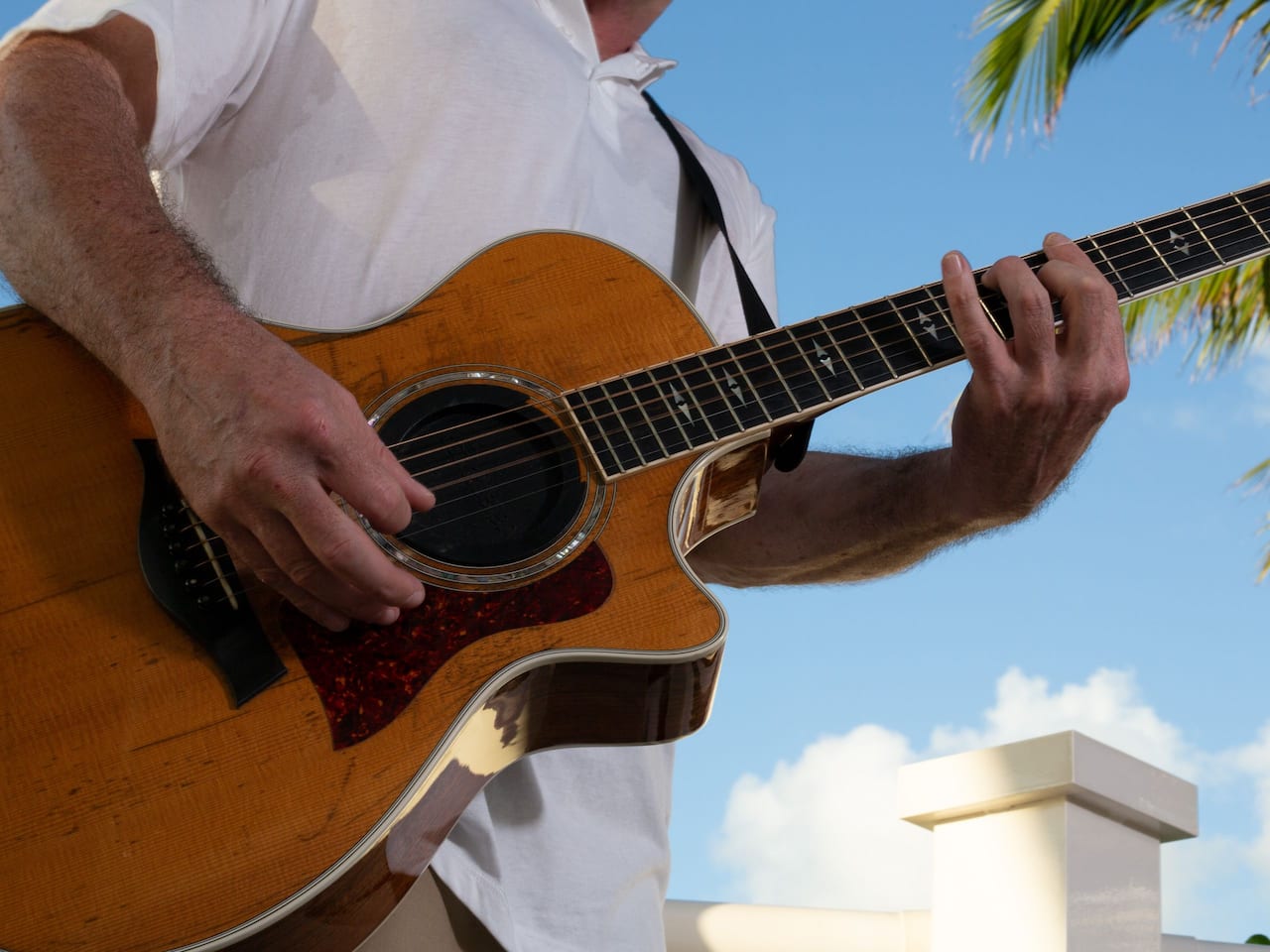 Musician with Guitar