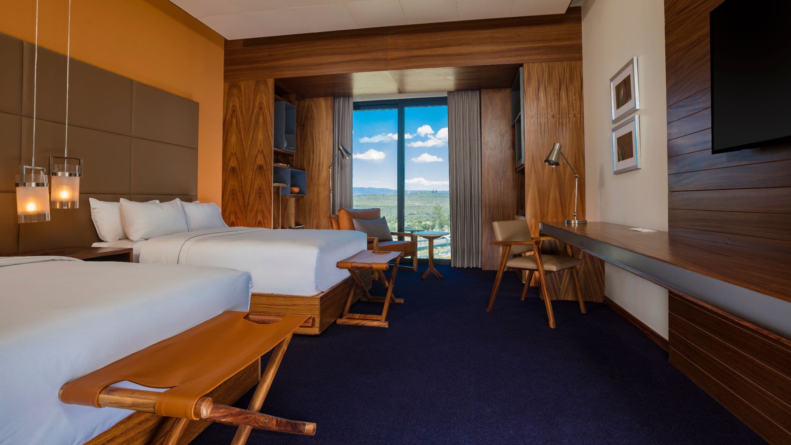 1 из 1 Hyatt Centric Campestre León Double Room
