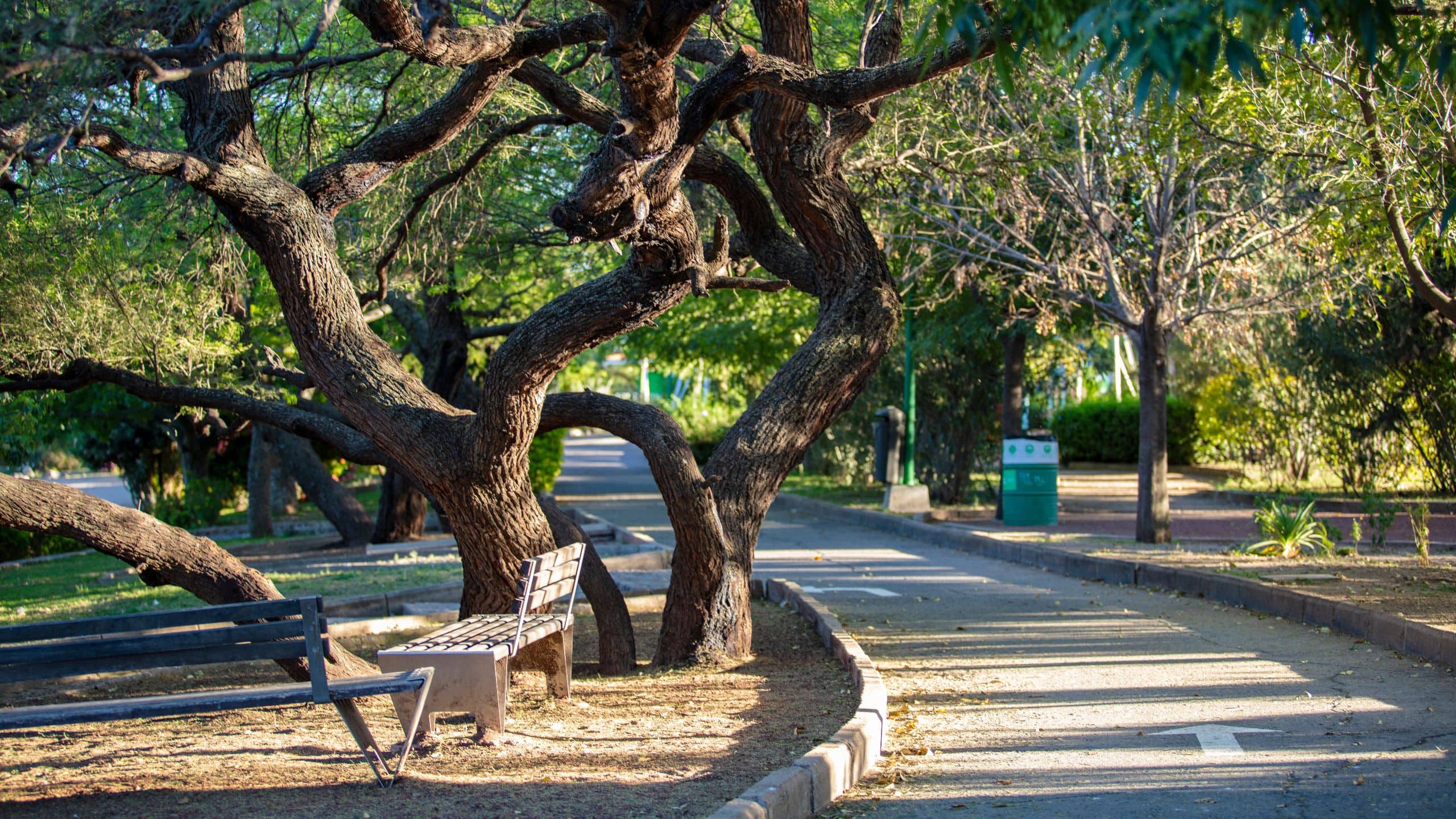 Hyatt Centric Campestre León Metropolitan Park Joggin