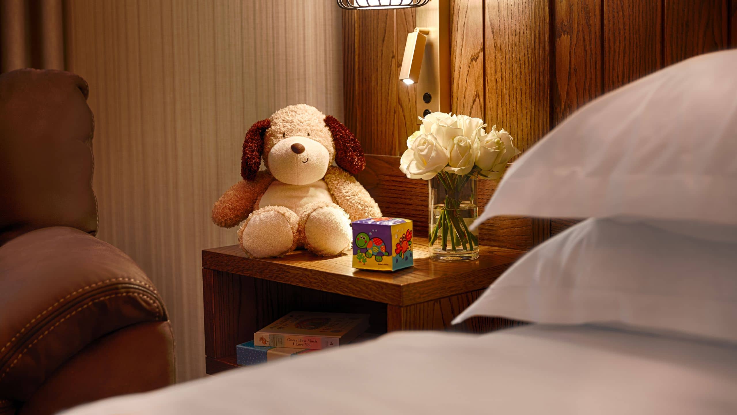 Hyatt Centric The Liberties Dublin King Family Deluxe Childrens Toys