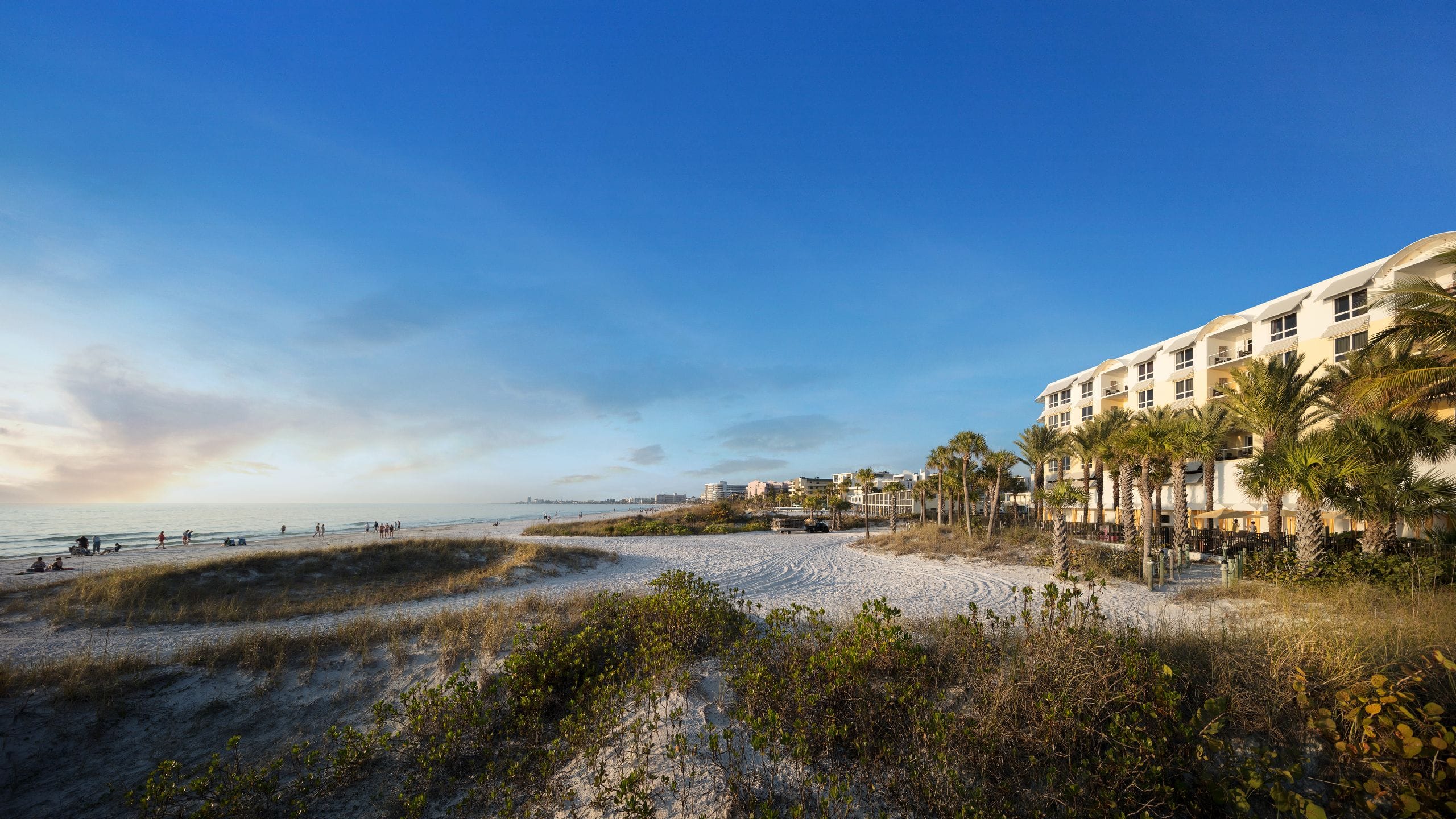 Hyatt Residence Club Sarasota, Siesta Key Beach Beach