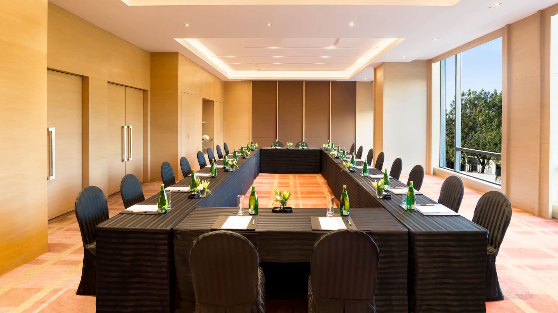 Hyatt Regency Lucknow Meeting Room