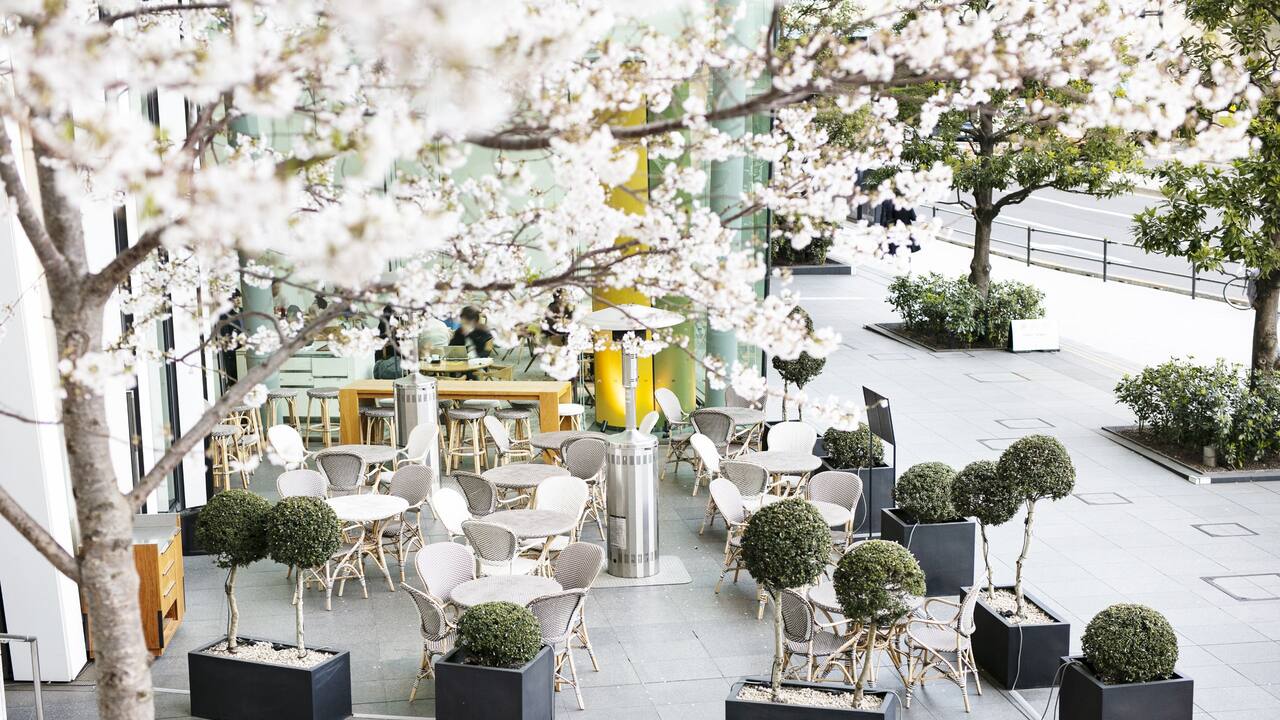My Premium Week at Andaz ~Spring Retreat~ My Premium Week at Andaz ~Spring Retreat~