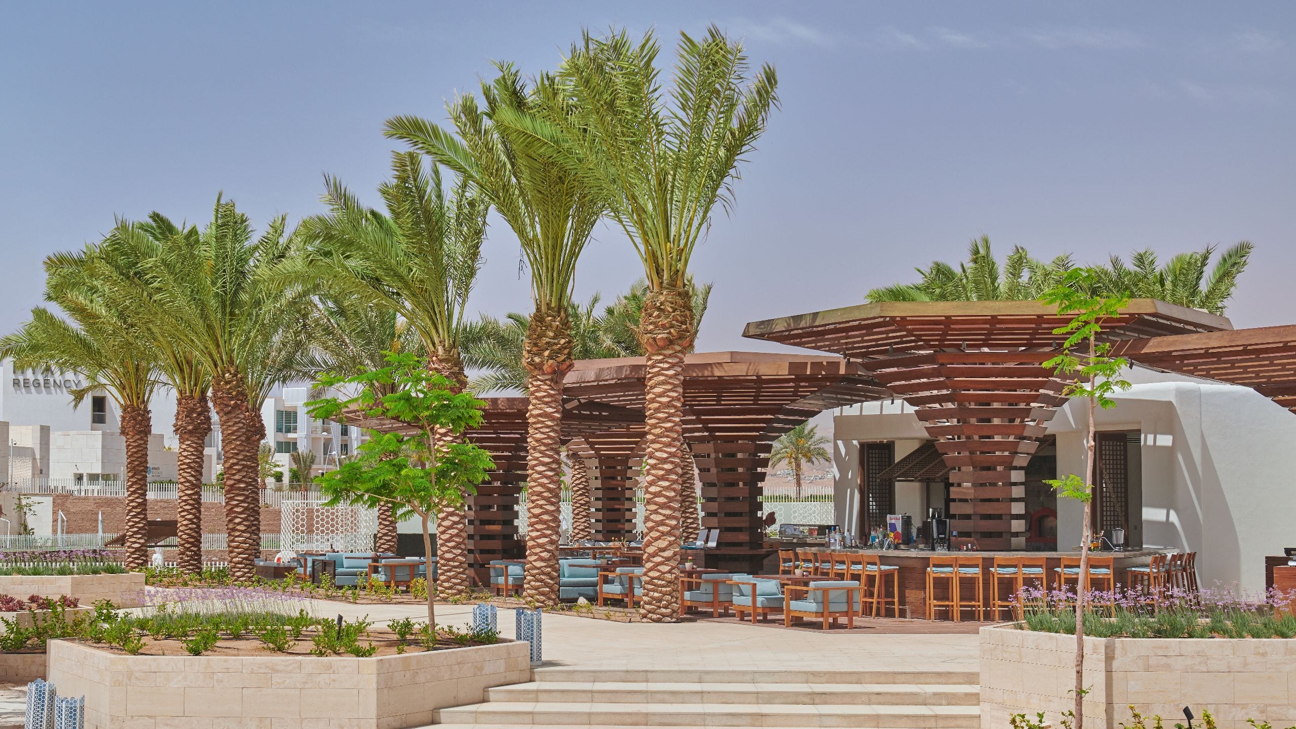 Aqaba Restaurants In Ayla Oasis Marina Village Hyatt