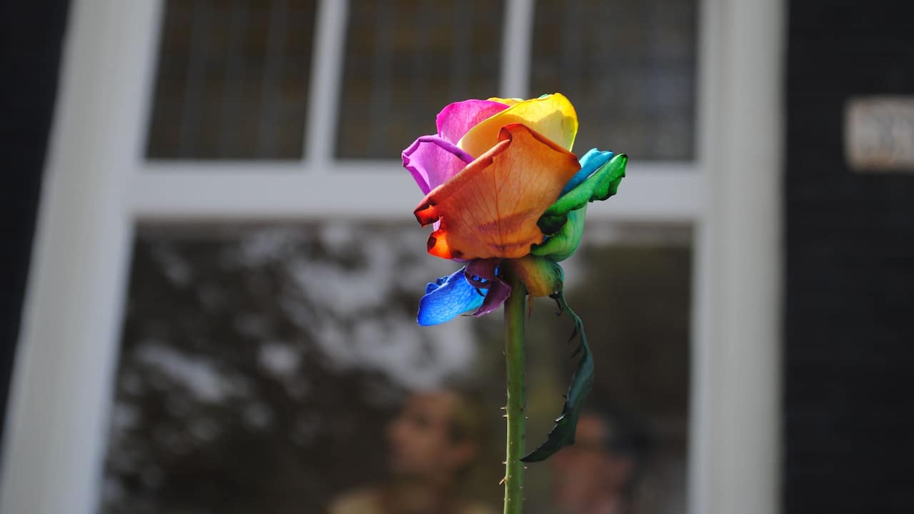 Stay as You Are – Kanazawa Pride Celebration Stay as You Are – Kanazawa Pride Celebration
