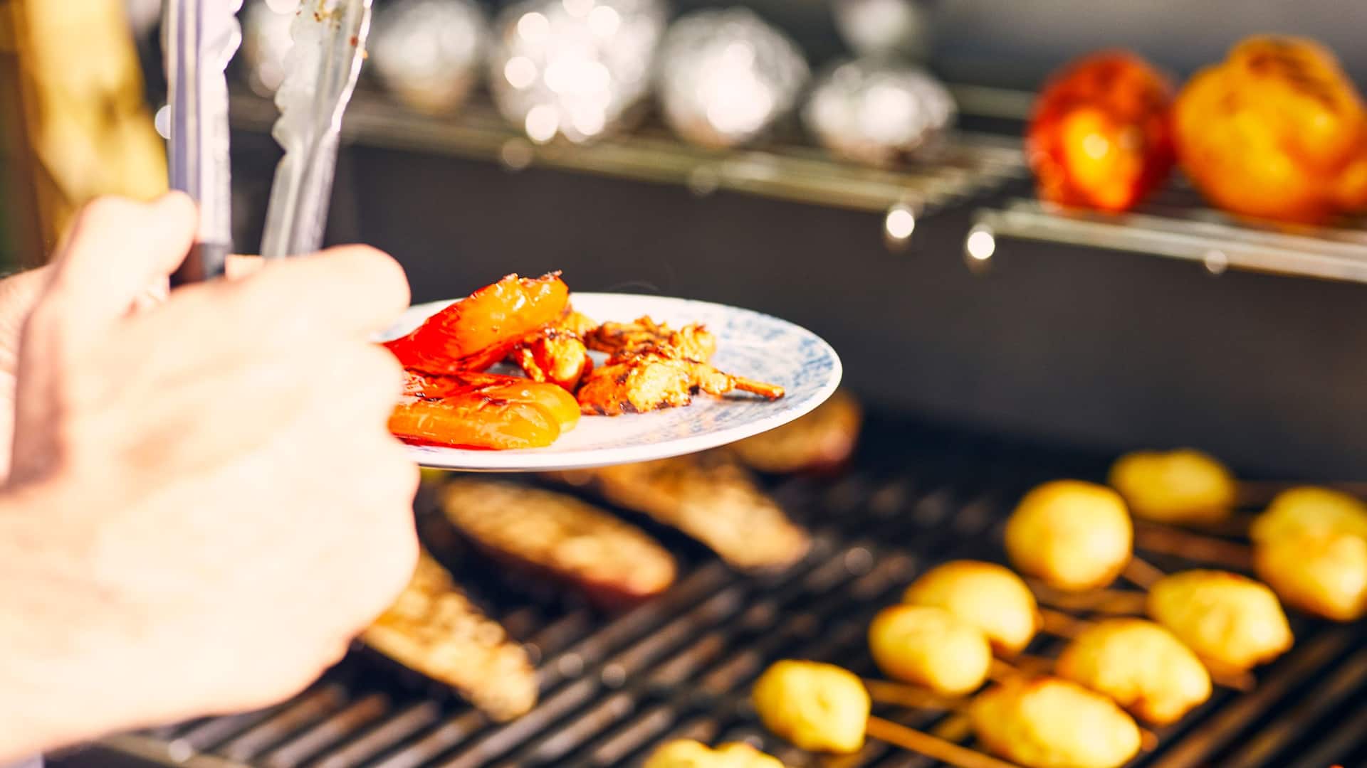 Hyatt Regency Amsterdam Terrace BBQ