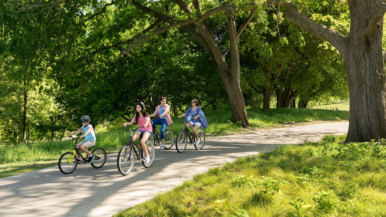 People bike riding along tree-covered trail