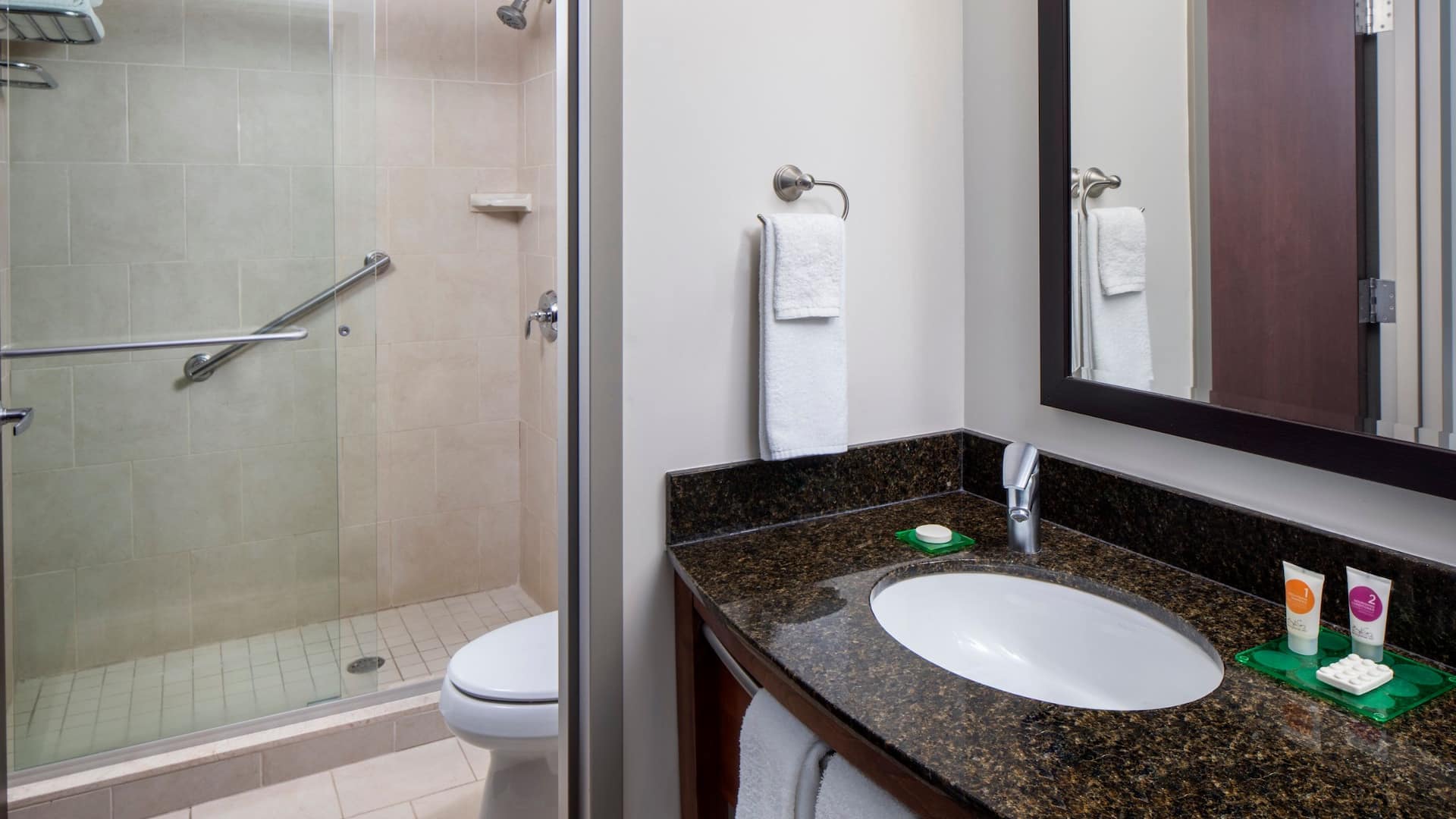 4/4 Hyatt Place Long Island/East End Standard Bathroom