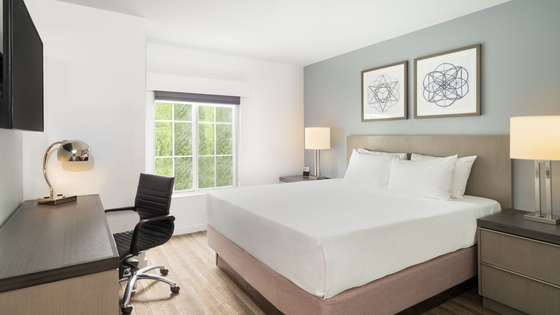 Hyatt House White Plains Studio Guestroom