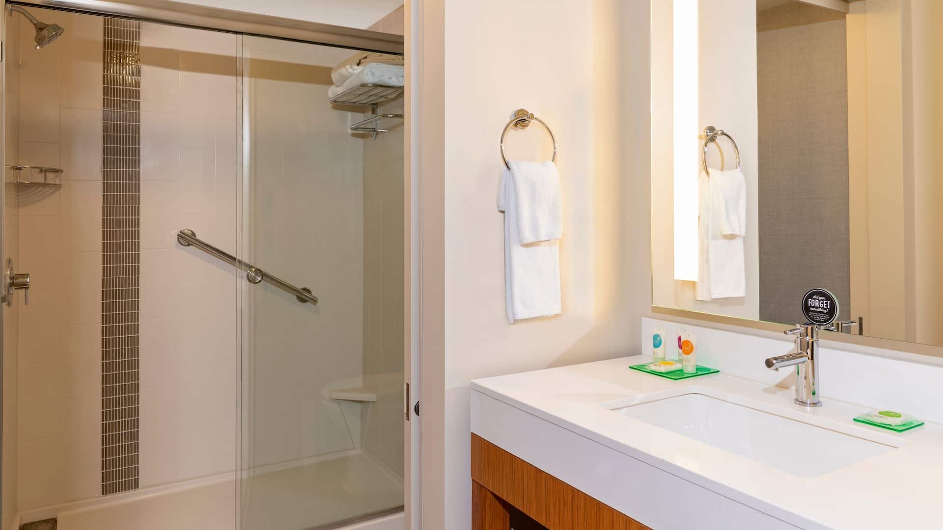 3/3 Hyatt Place Detroit / Royal Oak Guest Bathroom with Shower