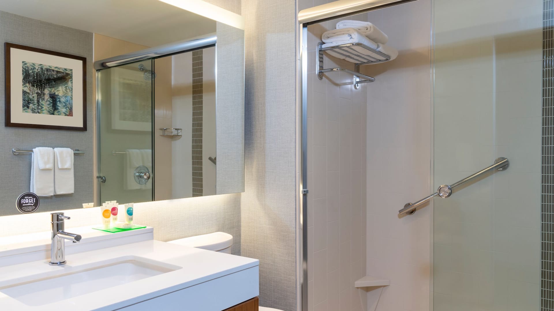 2/3 Hyatt Place Detroit / Royal Oak Guest Bathroom with Shower