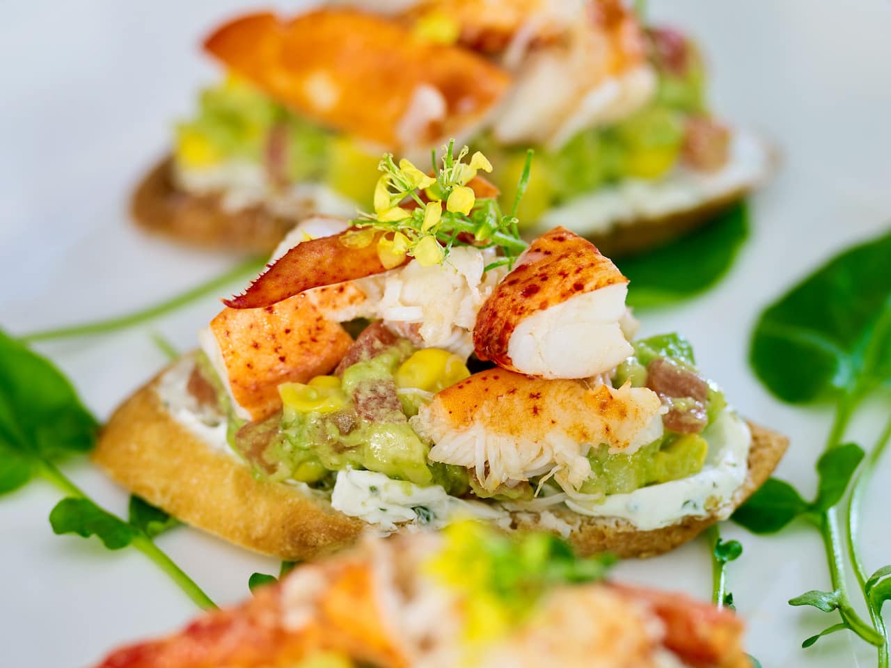 Appetizer